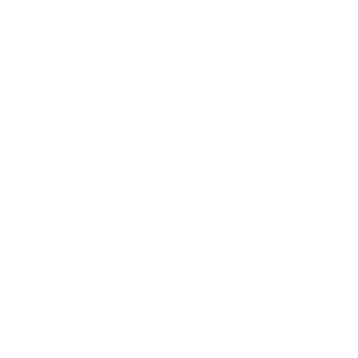 Hans Air Express mission statement icon