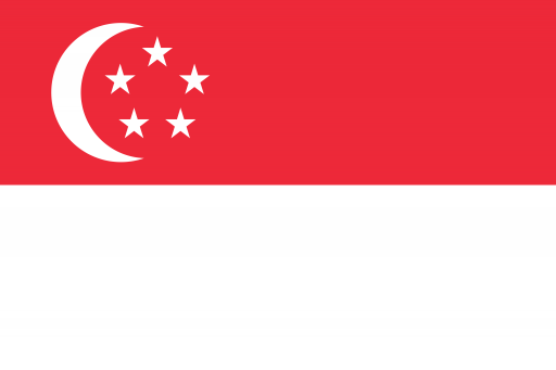 Singapore flag – air cargo services to Singapore