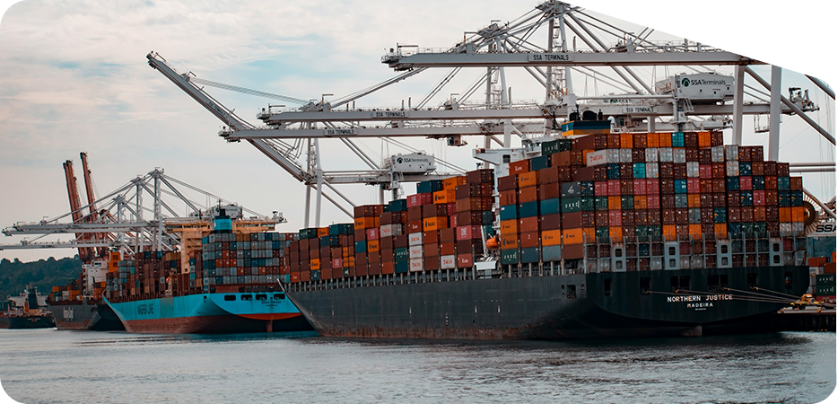 Surface and bulk transport services for heavy cargo and business logistics – Hans Air Express Mumbai